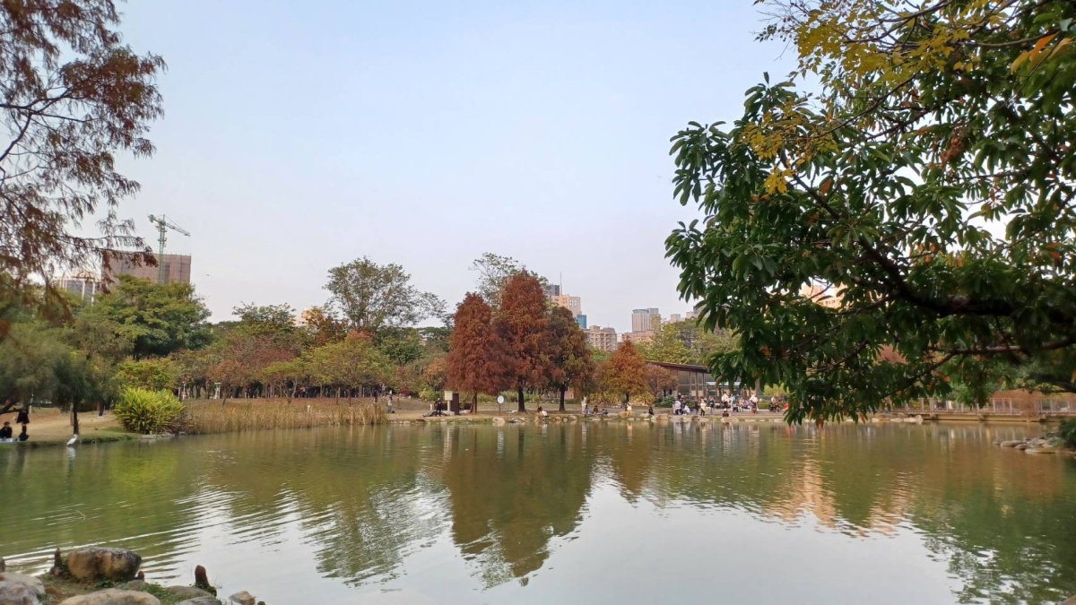 如鏡的生態池倒影