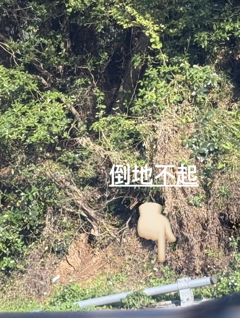 現況倒地