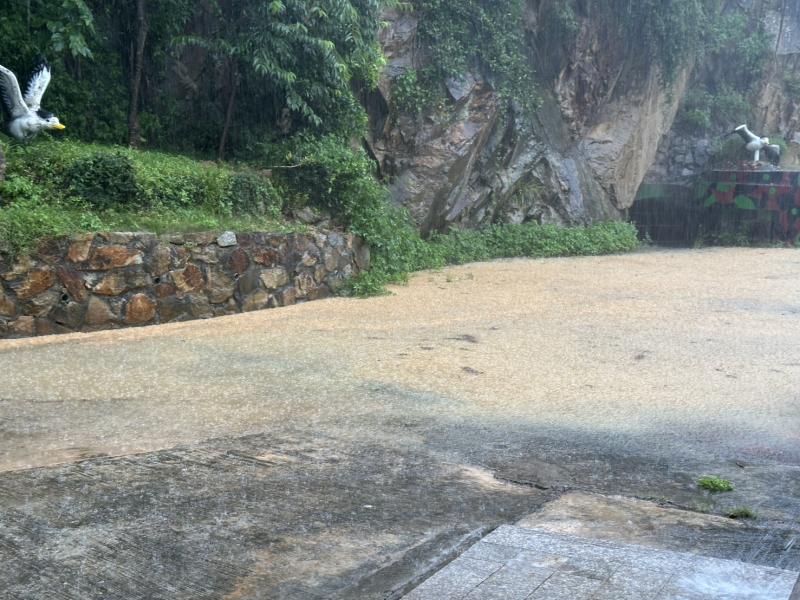 大雨後廣場積水
