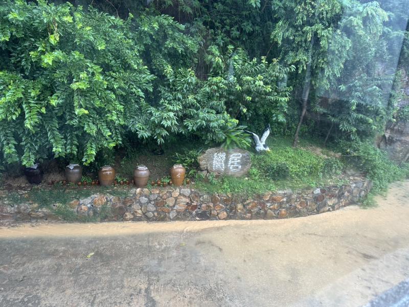 大雨後黃土沖刷