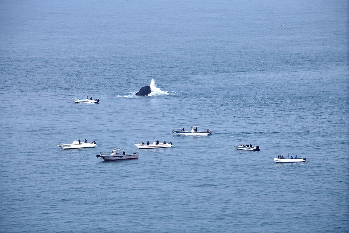 春節連假海象平穩　台灣釣友東引過年＋釣魚  照片