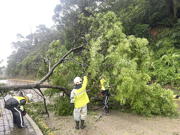 https://www.matsu-news.gov.tw/uploads/news/20240726233350_30.jpg