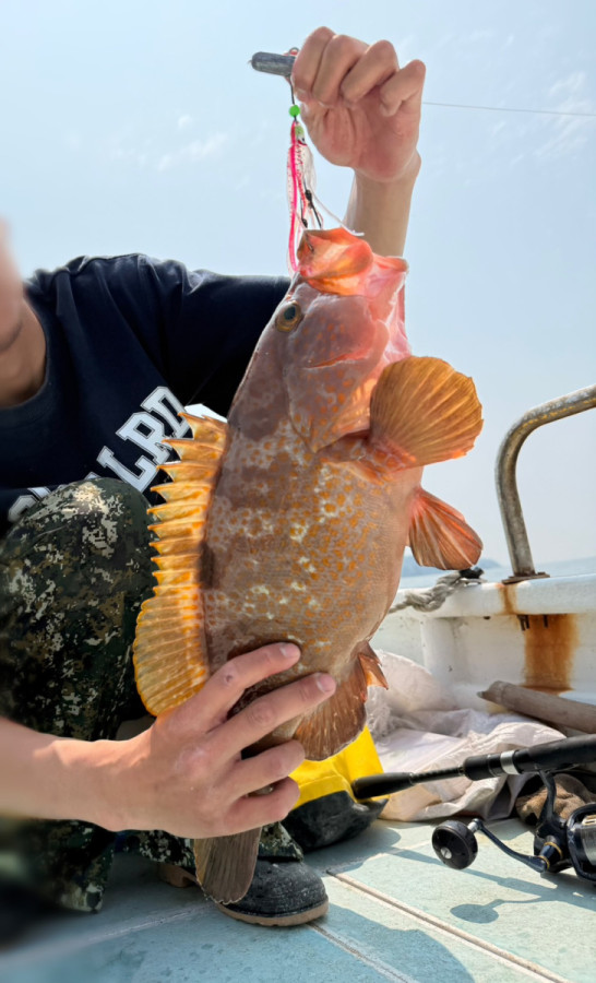 春暖魚躍！東莒1.7公斤赤點石斑出水報到