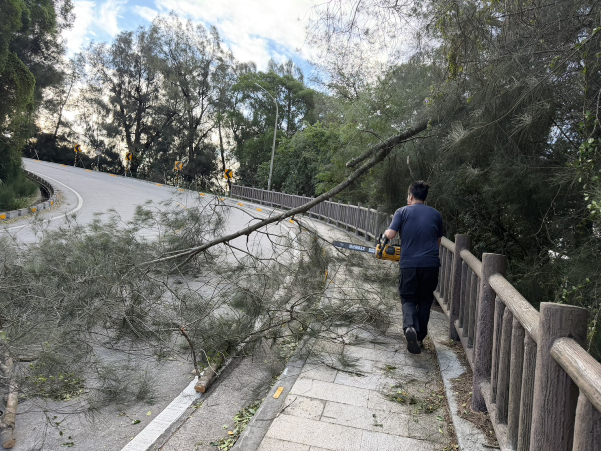 薔琵颱風造成2起路樹倒塌　消防人員迅速排除障礙