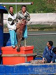 　東引漁船捕獲一尾重達72斤石斑魚。（圖／文：陳其敏）