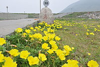 　「月」來「月」美。（圖與文：陳鵬雄）