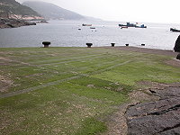 　橋仔曳船道碼頭長滿青苔，一片綠油油。（圖／文：陳鵬雄）