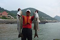 鱸魚達人蔡凱恩端節連假在北竿又釣了七十尾鱸魚,還有罕見的石斑魚。(圖/文:陳鵬雄)