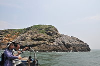 全村一起來熱鬧!(圖與文:張登傑、陳樂團)