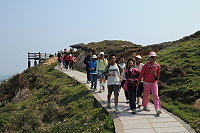 全村一起來熱鬧!(圖與文:張登傑、陳樂團)