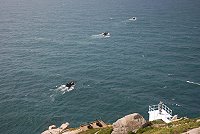 　你追我跑。（圖／文：陳其敏）