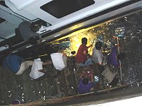 　魚躍人樂。（圖／文：陳其敏）