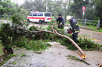　颱風天，消防局的帥哥們最辛苦，要全天候待命出勤，冒著強風豪雨清除傾倒路樹，保持交通安全順暢。（圖／文：曹重偉）
