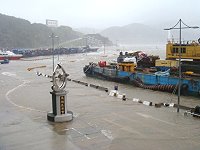 　商港、漁港分不清楚。（圖與文：劉秋月）