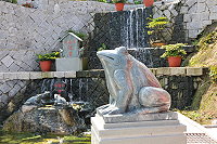 　青蛙生態池。（圖與文：陳鵬雄）