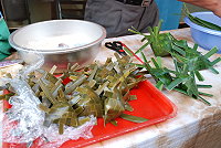 　「草包」重出江湖！（圖與文：劉秋月）