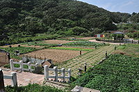 　民眾建議塘岐怡園可進一步規劃為蔬菜公園。（圖／文：陳鵬雄）