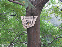 【生活極短篇】廣而告知/文、攝影:鄧綾
