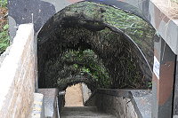  偽裝網隧道（圖與文：陳鵬雄）