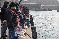 　連江縣釣魚協會釣魚比賽，樂華、中柳二村各自推派10位高手參賽，進行村與村的對抗賽。（圖／文：陳其敏）