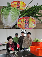 (圖上)馬祖宏利公司與台灣醄醴泡菜公司合作推出馬祖「好列」泡菜。(圖下)來自韓國的泡菜師傅李婆婆,到北竿坂里指導傳統正宗的泡菜製作。(圖/文:陳鵬雄)