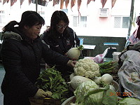 山隴市場菜攤白蘿蔔、大白菜、高麗菜脆甜。(圖/文:宋志富)