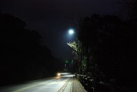 　民眾反映LED路燈白光無法穿透濃霧，相關單位表示將做檢視，以做為未來改善或全面更換之參考。（圖／文：劉秋月）