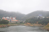 　最近幾天「霧」很大，霧中的迷濛景色也是十分迷人，但是發生在年節前的交通非常時期，卻是讓大部分鄉親及遊客頭疼。（圖／文：曹重偉）