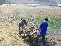 全村一起來熱鬧!(圖與文:張登傑、陳樂團)