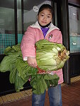 　不是大白菜！。（圖／文：陳其敏）
