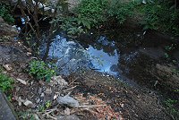 　勝利水庫上游集水區遭到廚餘污染，縣府環保局與工務局、水廠、防區部隊昨天清理完畢。（圖／文：邱竟瑋）