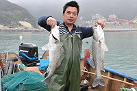 　霧氣再度籠罩，鱸魚靠岸，旅台鄉親搶購當伴手禮。（圖／文：陳鵬雄）