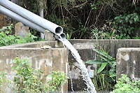 春雷響  雨水來　圖與文：陳鵬雄