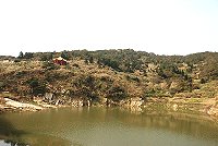 全村一起來熱鬧!(圖與文:張登傑、陳樂團)