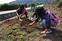 全村一起來熱鬧!(圖與文:張登傑、陳樂團)