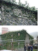 馬祖大樓青石牆正門屋簷有泥刻「馬祖日報」四字,目前被薜荔蔓藤的覆蓋,只剩下「報」字及本報在現場與馬港社協及鄰居訪談了解大樓歷史背景和人物。(圖:劉秋月)