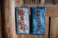 幾可亂真　圖與文：劉秋月
