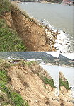 海線珠螺涼亭下方疑似地基流失,被指出共有兩處。(圖/文:邱竟瑋)