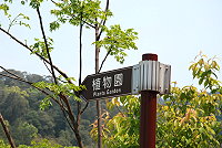 怪怪的植物園／圖與文：劉秋月