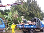 　連日大雨，地區多處坍方，縣府與鄉公所兵分多路清理土石、斷木。（圖／文：邱竟瑋）