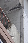 　北竿中正路國宅天花板與屋簷鋼筋裸露及外牆剝落的情況十分嚴重。（圖／文：陳鵬雄）
