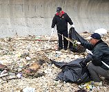 珠螺海灘發現一隻死去多時的小型海豚,居民上前查看。(圖/文:邱竟瑋)