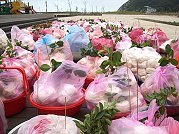 　山隴境白馬尊王廟昨盛大補庫，四、五百份祭品聲勢浩大。（圖／文：邱竟瑋）
