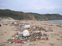 　東莒福正沙灘的海漂垃圾問題，地方政府與馬管處協調後取得清運共識。（圖：東莒記者林冰芳攝）