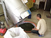 馬祖一製茶業者引進精密機械,多款合計價值上百萬元,但師傅們的經驗無價。(圖/文:邱竟瑋)