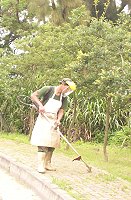 縣府與駐軍聯合展開「大清島」,南竿山線除草的官兵辛苦作業。(圖/文:邱竟瑋)