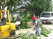 　礙於公所人手有限，國軍弟兄義務協助清理修整路樹。（圖：莒光鄉公所提供）