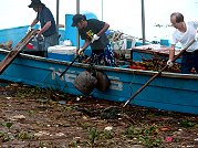 　這波海漂垃圾實在驚人，港務處為船隻行進安全，雇用船隻進行碼頭垃圾打撈工作。（圖／文：劉秋月）
