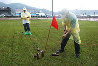 全村一起來熱鬧!(圖與文:張登傑、陳樂團)