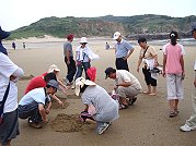 　2010馬祖莒光花蛤節登場！從福正沙灘到永留嶼都是大家尋寶的範圍。（圖／文：林冰芳）